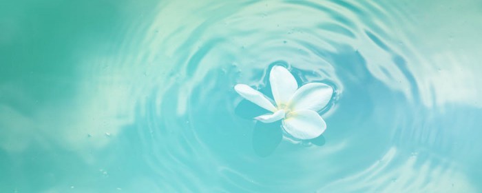 Lorem ipsum dolor sit amet, consectetur adipiscing elit